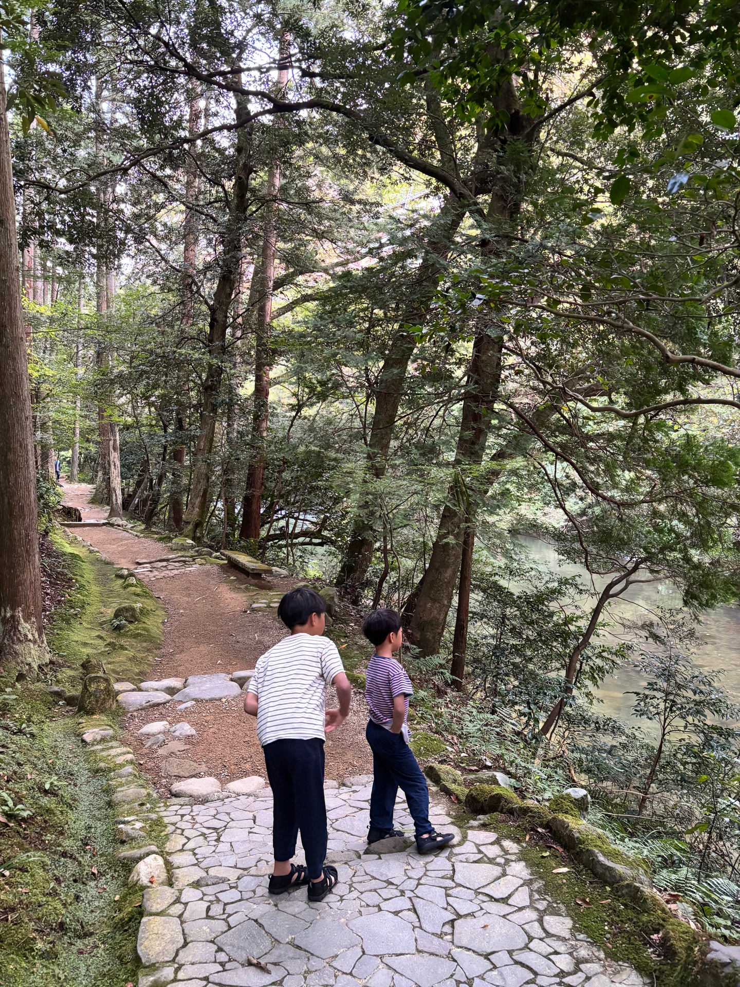 川沿いの木立の間を進む鶴仙渓の遊歩道