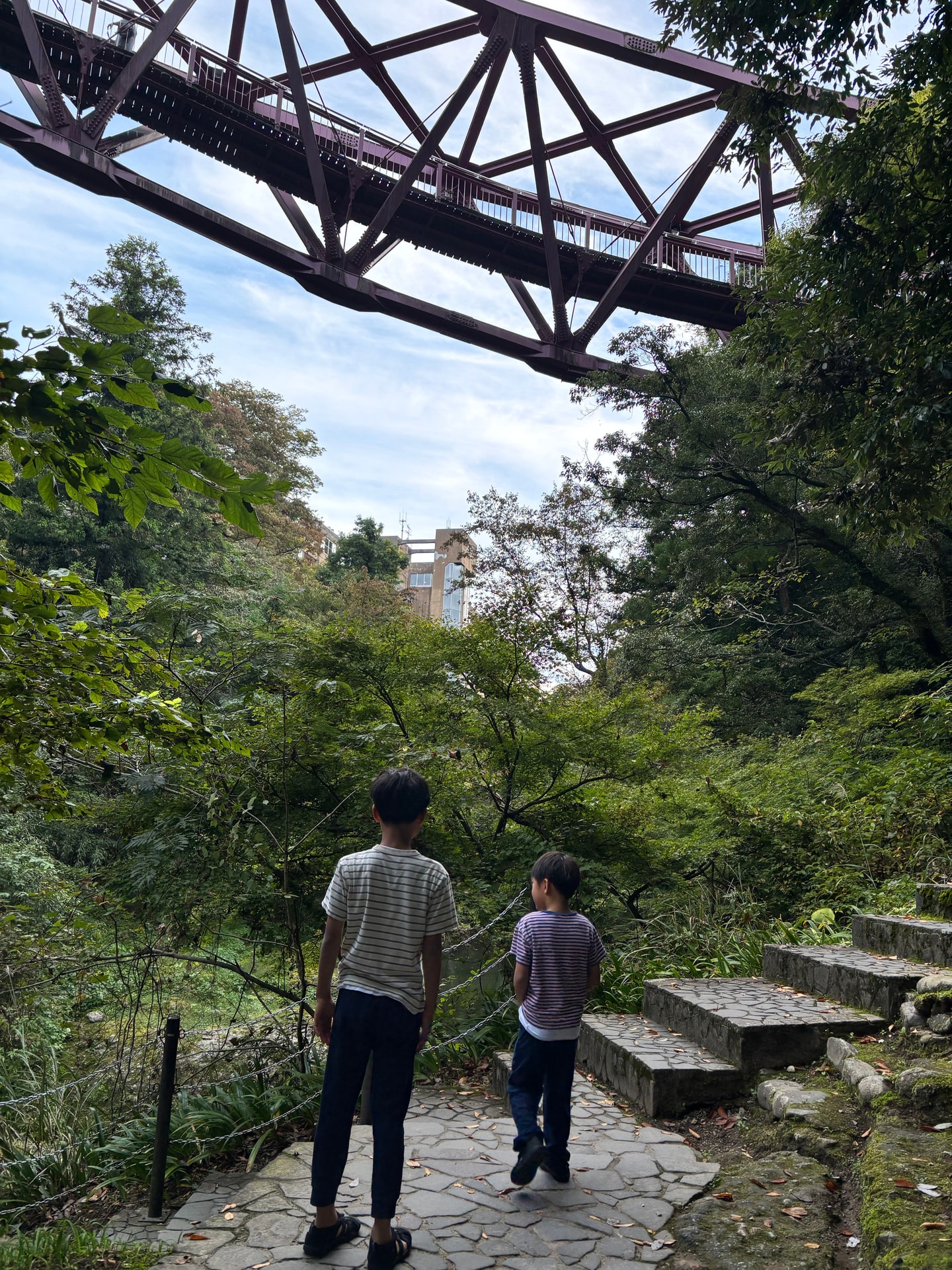 紅紫色のあやとりはしを下から見上げる遊歩道