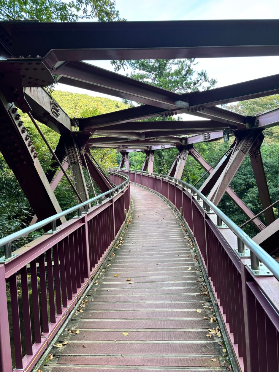 緑に囲まれたあやとりはしの紅紫色の骨組みと曲線を描く歩道
